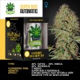 IGROWCAN - Super Bud Auto
